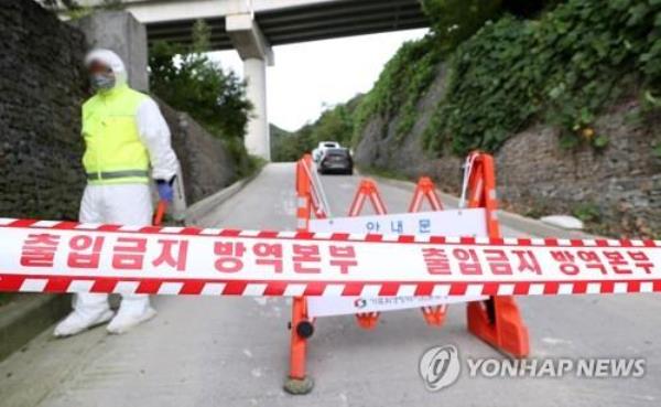 韩国加强对非洲猪瘟的控制措施