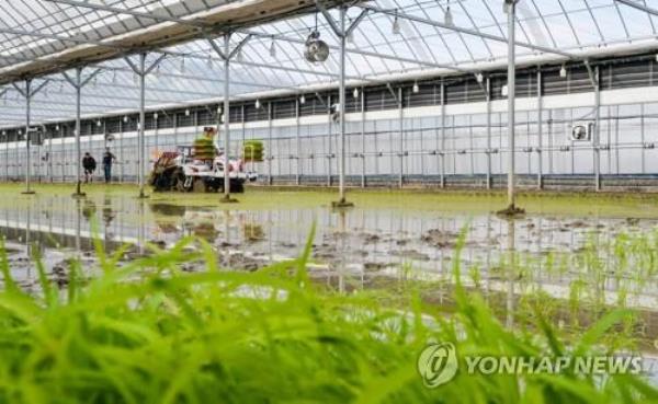 由于疫情防控放松，第一季度外国农业工人数量激增