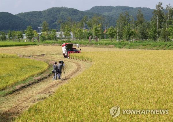 到2023年，韩国的稻田总面积将减少