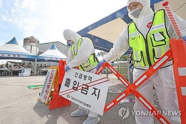 韩国加强了对非洲猪瘟的隔离措施
