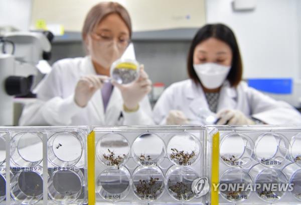 今年到目前为止，韩国报告了600多例疟疾病例