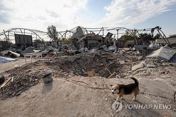 This EPA photo shows a dog standing near a shell crater on a farm near the front-line town of Orikhiv, the Zaporizhzhia region of Ukraine, on Sept. 14, 2023. (PHOTO NOT FOR SALE) (Yonhap)