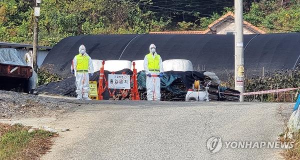 韩国又报告了4例结节性皮肤病病例，使病例总数达到14例