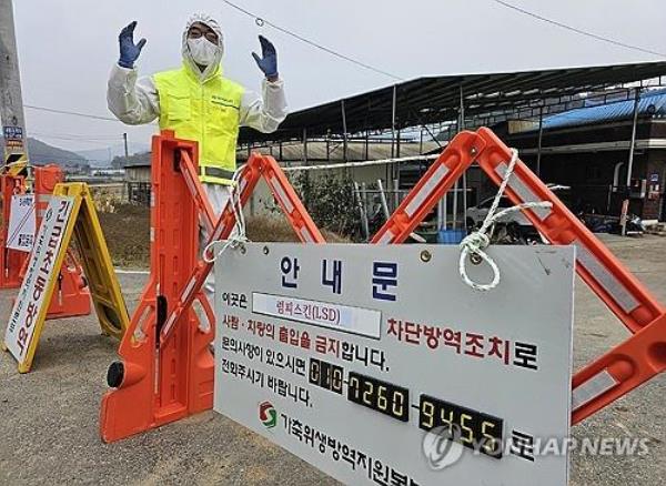 (第2次世界新闻)韩国全力以赴控制疙瘩性皮肤病在全国范围内的蔓延