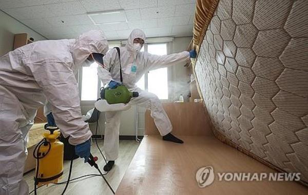 首尔试图控制臭虫泛滥