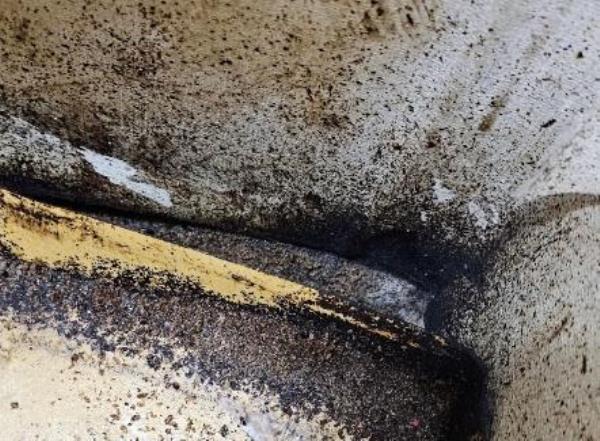 Bedbug infestation is shown in this photo provided by a private disinfection service company in Seoul. (PHOTO NOT FOR SALE) (Yonhap)
