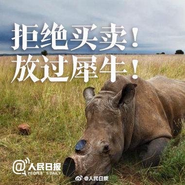 惊现变异犀牛将军，自然界的神秘力量震撼来袭！