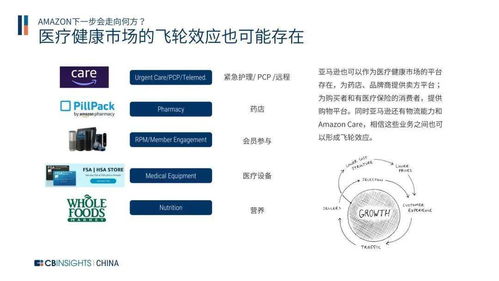 独家解析企业应用软件的奥秘，开启高效运营的钥匙！