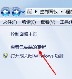 怎么重装ie,技巧分享只需几步，轻松重装你的IE浏览器！