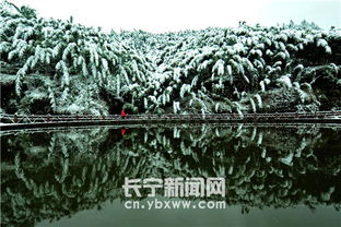窗外雨夹雪，描绘冬日的别样风情