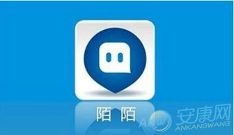 陌陌群名称大全：燃烧你的社交激情
