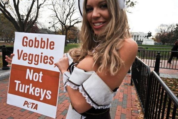 PETA Thanksgiving