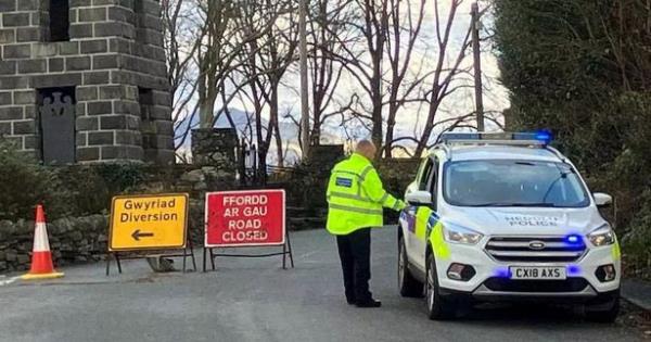 The boys were found in the partially-submerged car