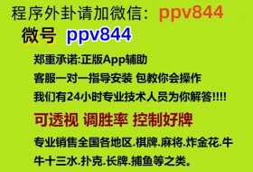我来教教大家湖南跑胡子的技巧!技术师傅带你一起了解（详细开挂教程）-知乎