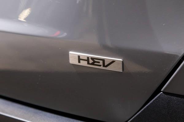2025 Kia Carnival HEV | Cars.com photo by Christian Lantry