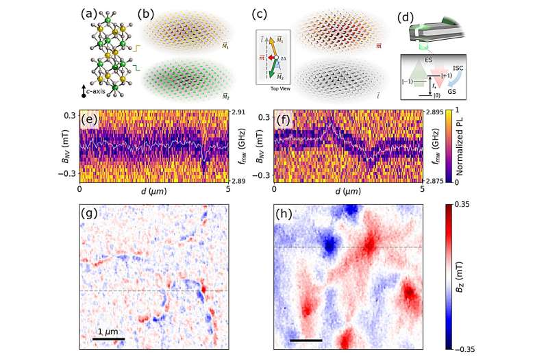 Diamo<em></em>nds and rust help unveil 'impossible' quasi-particles