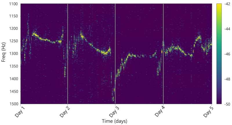 Broadband buzz: Periodical cicadas' chorus measured with fiber optic cables