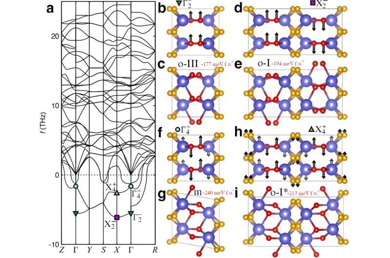 A theoretical approach to ferroelectricity in hafnia-related materials