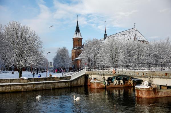 A general view shows the Cathedral, also known as the Koenigsberg Cathedral, which houses the tomb and museum of German philosopher Immanuel Kant, in Kaliningrad, Russia, November 26, 2023. — Reuters pic