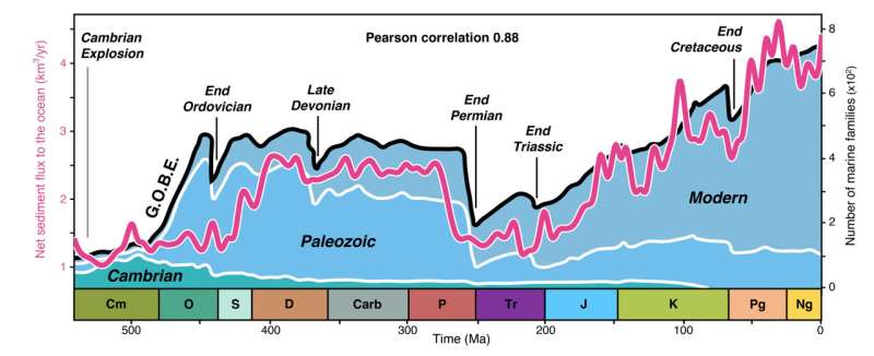 Landscape dynamics determine the evolution of biodiversity on Earth