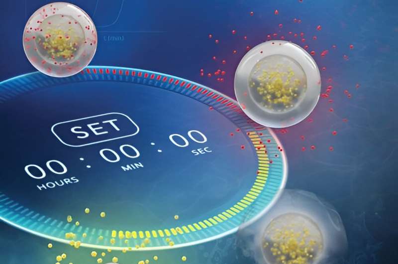 A new way to deliver drugs more efficiently