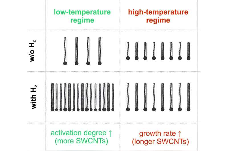 Researchers triple carbon nanotube yield for LEDs, solar cells, flexible and transparent electronics