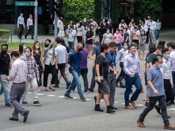 新加坡公务员可获得0.6个月的年终奖，下级官员可根据等级另行获得400新元或800新元的年终奖