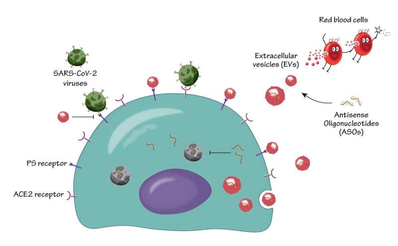 Nano-sized cell particles are promising intervention tool in treating infectious diseases
