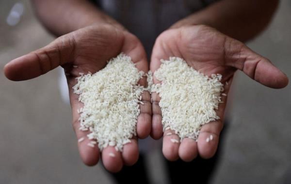 Minister: Sarawak needs at least RM3b for food security goal