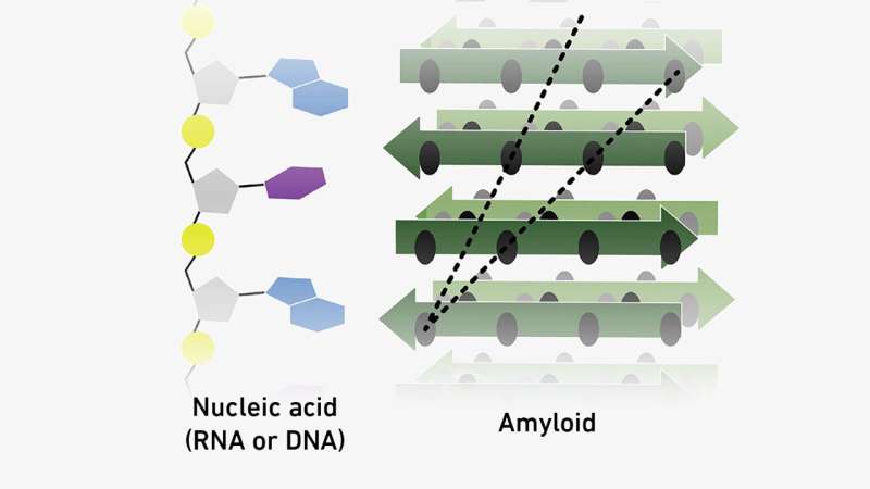 Molecular cooperation at the threshold of life