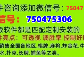 重大通报“广西八一字牌可以开挂吗”!技术师傅带你一起了解（详细教程）-知乎