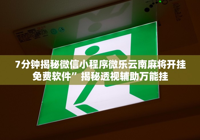 【盘点十款】“广西八一字牌可以开挂吗(辅助外挂+教程) 
