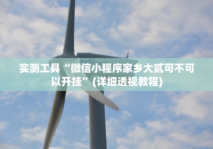 实测工具“微信小程序家乡大贰可不可以开挂”(详细透视教程)