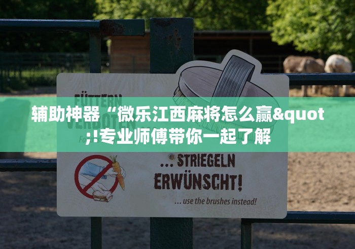 辅助神器“微乐江西麻将怎么赢"!专业师傅带你一起了解