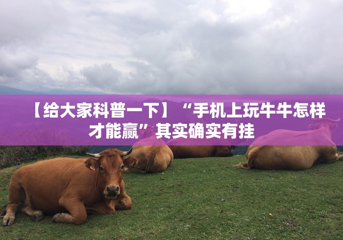 【给大家科普一下】“手机上玩牛牛怎样才能赢”其实确实有挂