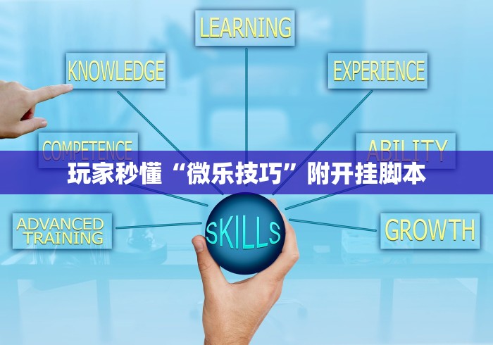 玩家秒懂“微乐技巧”附开挂脚本 玩家秒懂“微乐技巧”附开挂脚本