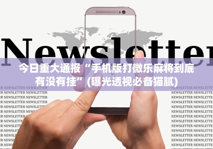 今日重大通报“手机版打微乐麻将到底有没有挂”(曝光透视必备猫腻)
