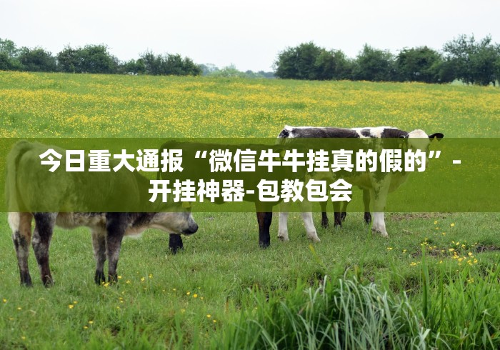 今日重大通报“微信牛牛挂真的假的”-开挂神器-包教包会