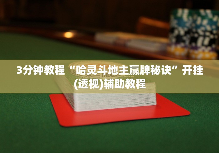 3分钟教程“哈灵斗地主赢牌秘诀”开挂(透视)辅助教程