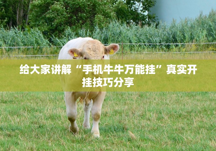 给大家讲解“手机牛牛万能挂”真实开挂技巧分享