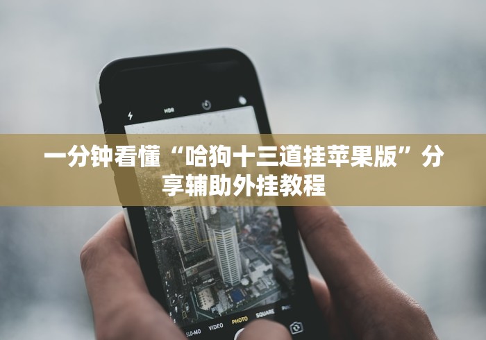 我来告诉你”乐乐四川麻将有挂吗”(透视)其实真的有挂 我来告诉你”乐乐四川麻将有挂吗”(透视)其实真的有挂