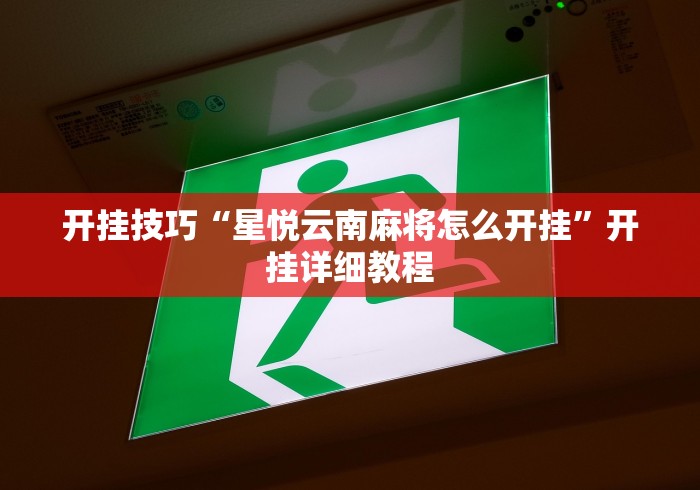 开挂技巧“星悦云南麻将怎么开挂”开挂详细教程