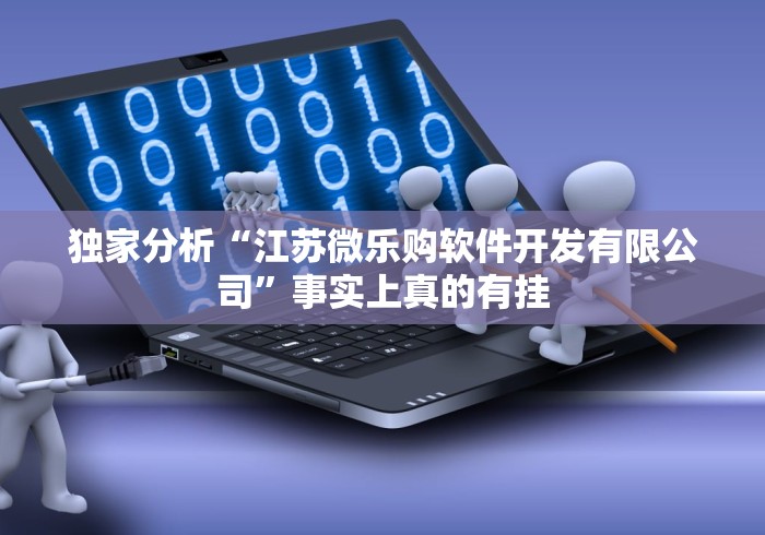 独家分析“江苏微乐购软件开发有限公司”事实上真的有挂