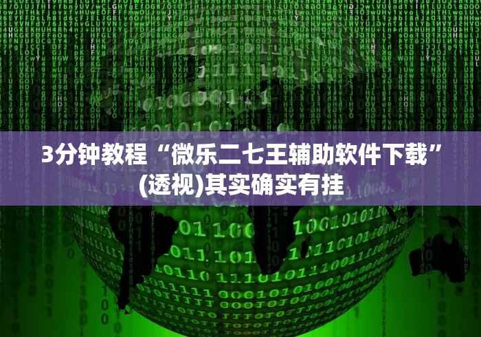 3分钟教程“微乐二七王辅助软件下载”(透视)其实确实有挂