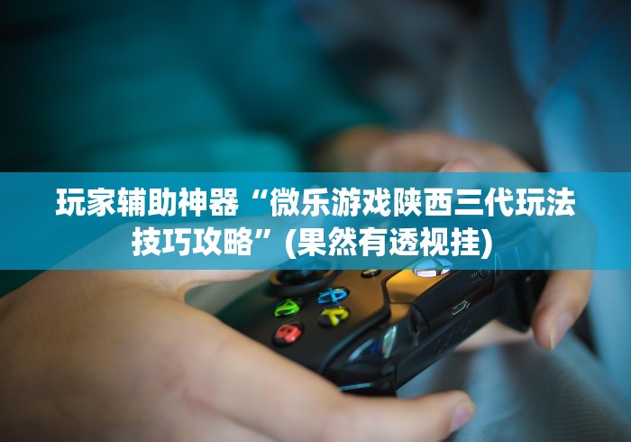 玩家辅助神器“微乐游戏陕西三代玩法技巧攻略”(果然有透视挂) 