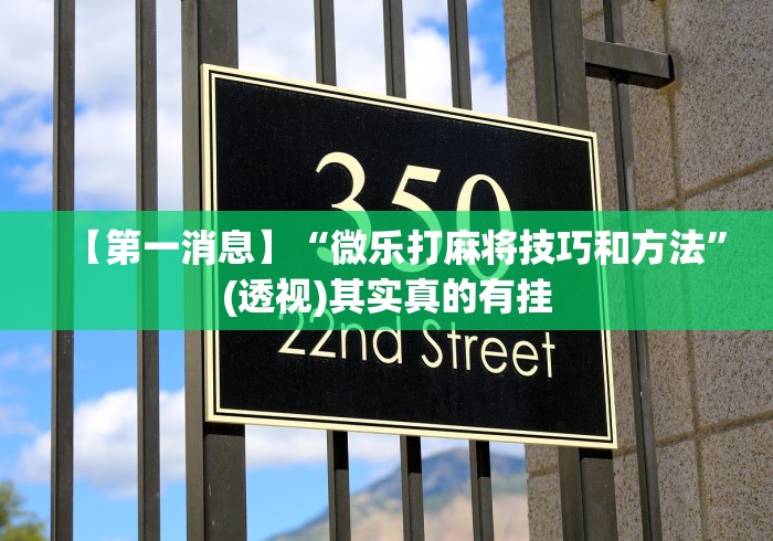 【第一消息】“微乐打麻将技巧和方法”(透视)其实真的有挂