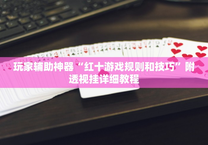 玩家辅助神器“红十游戏规则和技巧”附透视挂详细教程