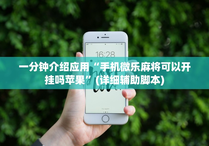 一分钟介绍应用“手机微乐麻将可以开挂吗苹果”(详细辅助脚本)