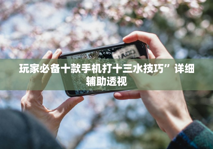 玩家必备十款手机打十三水技巧”详细辅助透视