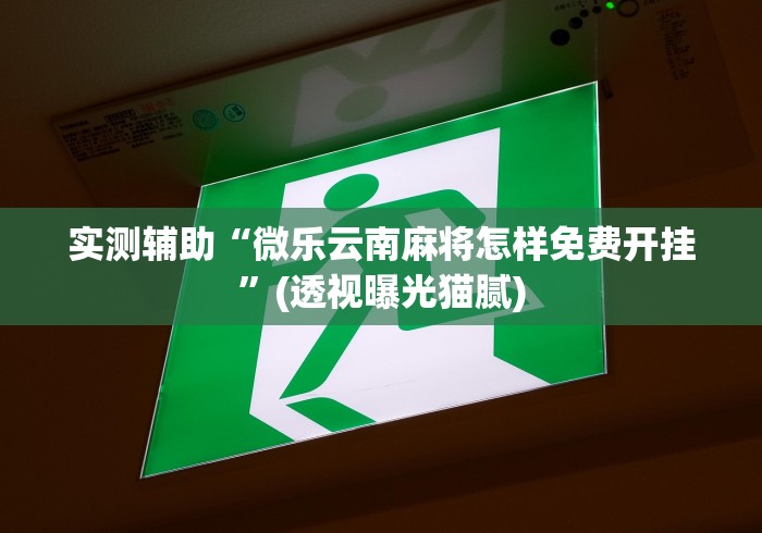 实测辅助“微乐云南麻将怎样免费开挂”(透视曝光猫腻)